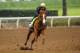 ARCADIA, CA - APRIL 02: Justify with Drayden Van Dyke complete final preparations for the Santa Anita Derby at Santa Anita Park on April 02, 2018 in Arcadia, California. (Photo by Alex Evers/Eclipse Sportswire/Getty Images)