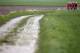 Trek team cyclists train ahead of Sunday's 115th edition of the Paris-Roubaix cycling classic, in Haveluy, northern France, Thursday, April 6, 2017. The Paris-Roubaix cycling classic is a 257.5 kilometer (160 mile) one day cycle race, with about 20 per cent of the distance run on cobblestones. (AP Photo/Michel Spingler)