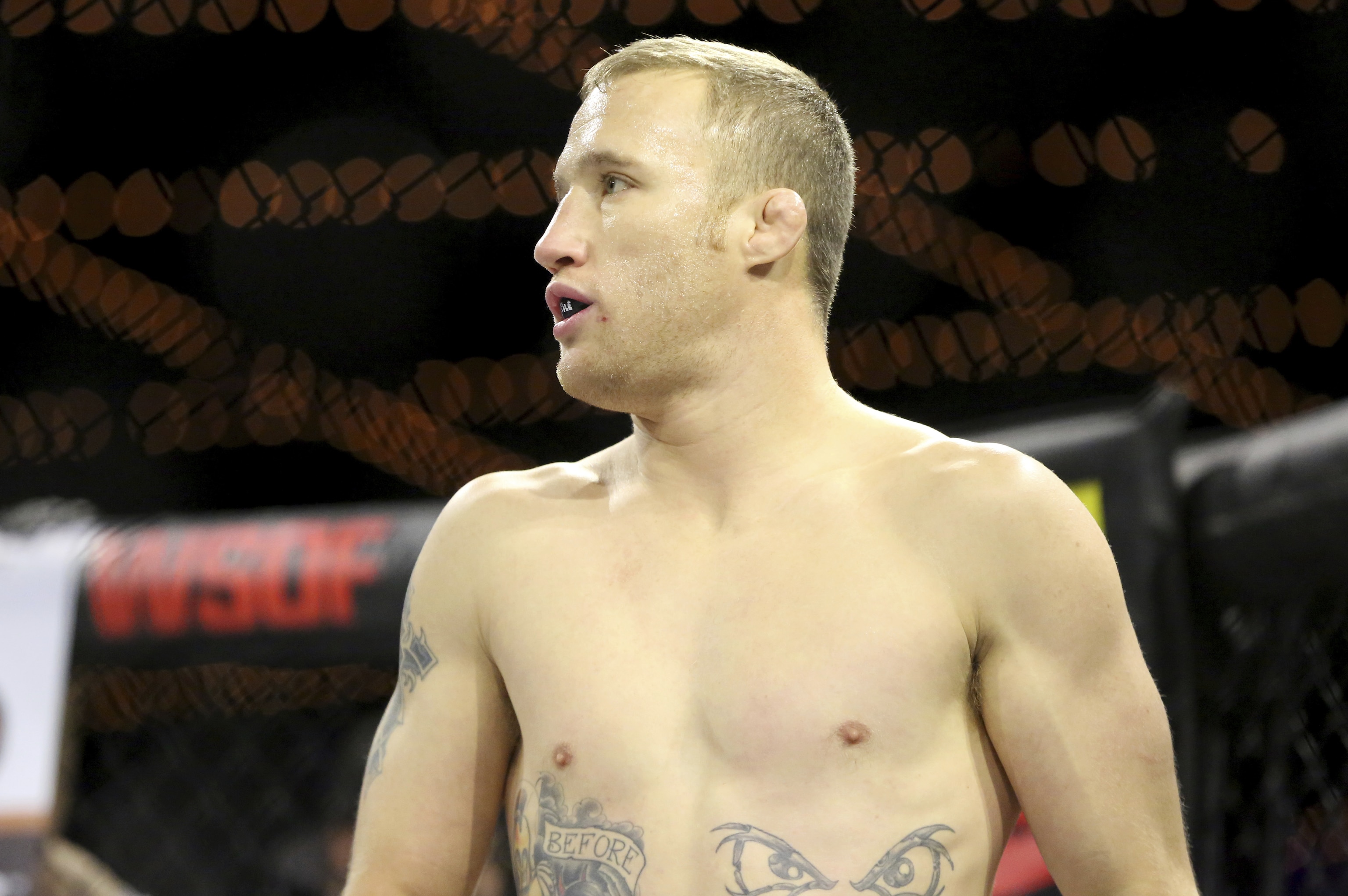 Ufc betting trends Ufc betting trends