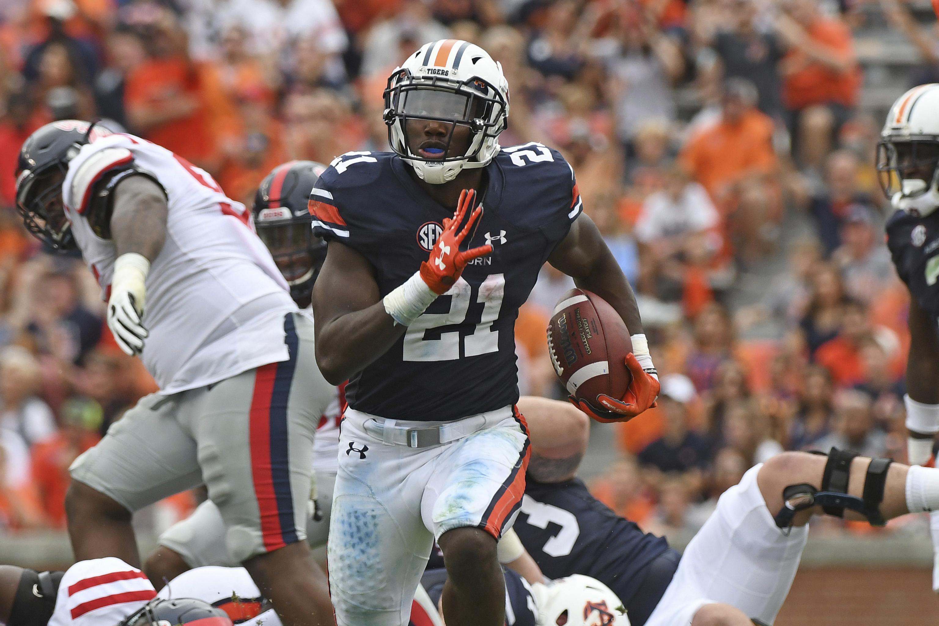 Kerryon Johnson, Detroit Lions Career Highlights