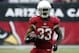 Arizona Cardinals running back Kerwynn Williams (33) during an NFL football game against the New York Giants, Sunday, Dec. 24, 2017, in Glendale, Ariz. The Cardinals won 23-0. (AP Photo/Rick Scuteri)
