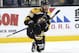 David Pastrnak celebrates a goal for the Bruins.