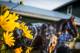 BALTIMORE, MD - MAY 19: Gunnevera gets a bath after completing his final preparations for the Preakness Stakes at Pimlico Race Course on May 19, 2017 in Baltimore, Maryland. (Photo by Alex Evers/Eclipse Sportswire/Getty Images)