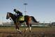 Kentucky Derby hopeful Audible runs during a morning workout at Churchill Downs Tuesday, May 1, 2018, in Louisville, Ky. The 144th running of the Kentucky Derby is scheduled for Saturday, May 5. (AP Photo/Charlie Riedel)