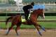 LOUISVILLE, KY - MAY 10: Kentucky Derby winner Justify, with exercise rider Humberto Gomez, gallops at Churchill Downs on May 10, 2018 in Louisville, Kentucky. It was his first visit to the track since his Kentucky Derby win five days earlier. (Photo by Mary M. Meek/Eclipse Sportswire/Getty Images)
