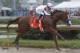 Mike Smith rides Justify through the fourth turn and unto victory during the 144th running of the Kentucky Derby horse race at Churchill Downs Saturday, May 5, 2018, in Louisville, Ky. (AP Photo/John Minchillo)