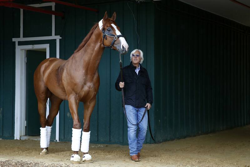 Preakness Picks 2018 Predictions And Odds For All Horses In The