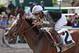 HALLANDALE BEACH, FL - MARCH 31: Coach Rocks #2, ridden by Luis Saez, wins the Gulfstream Park Oaks at Gulfstream Park on March 31, 2018 in Hallandale Beach, Florida. (Photo by Liz Lamont/Eclipse Sportswire/Getty Images)