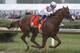 Mike Smith rides Justify through the fourth turn and unto victory during the 144th running of the Kentucky Derby horse race at Churchill Downs Saturday, May 5, 2018, in Louisville, Ky. (AP Photo/John Minchillo)