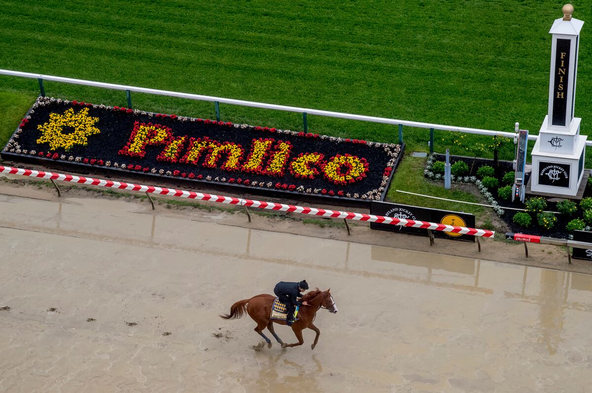 Preakness Odds 2018: Post Positions Info and Vegas Lines for All Horses ...