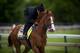 BALTIMORE, MD - MAY 17: Justify with Humberto Gomez gallops in preparation for the Preakness Stakes at Pimlico Racecourse on May 17, 2018 in Baltimore, Maryland. (Photo by Alex Evers/Eclipse Sportswire/Getty Images)