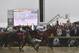 Justify with Mike Smith atop wins the 143rd Preakness Stakes horse race at Pimlico race track, Saturday, May 19, 2018, in Baltimore. Bravazo with Luis Saez aboard wins second with Tenfold with Ricardo Santana Jr. atop places. (AP Photo/Mike Stewart)
