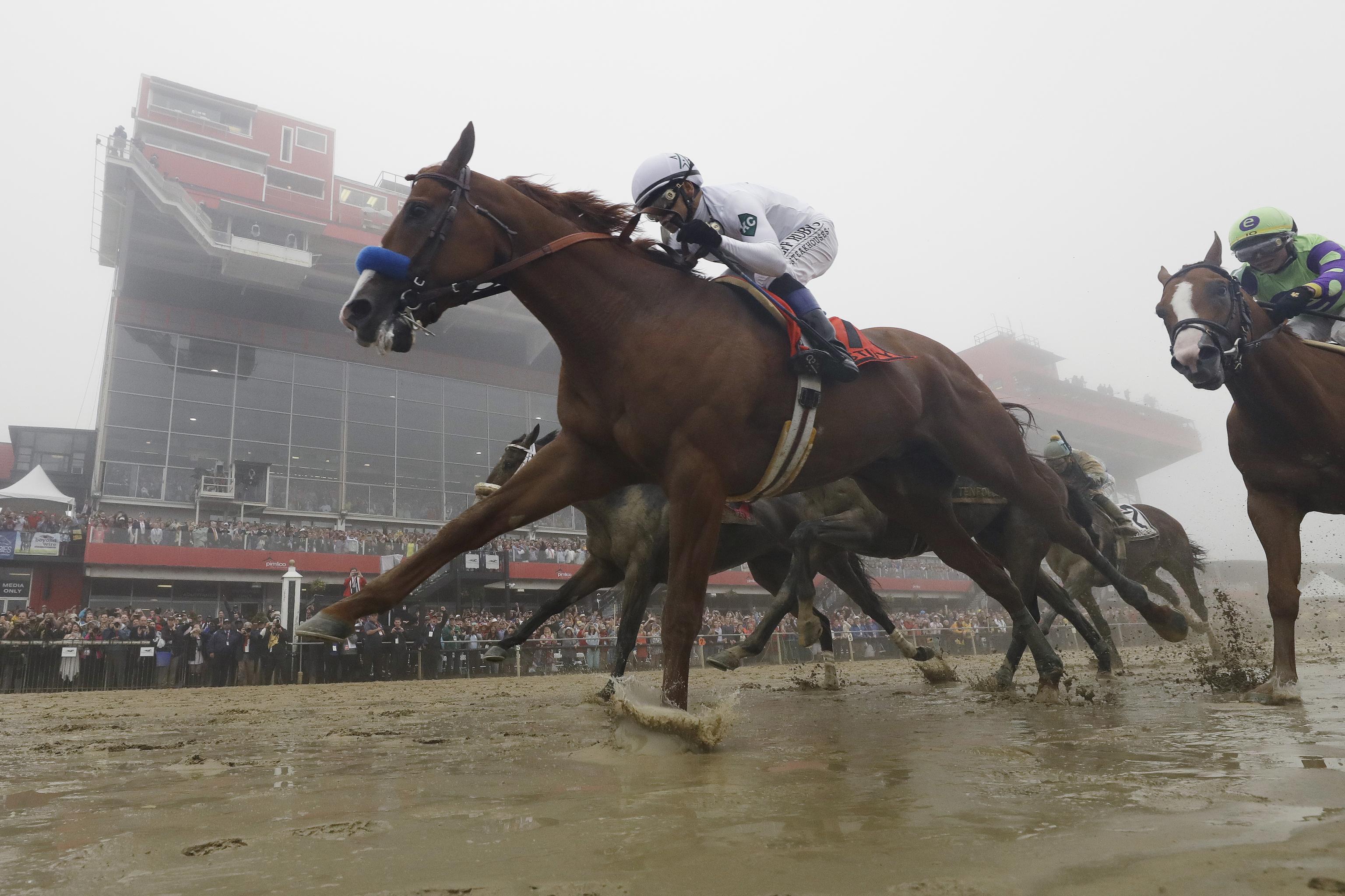 Is Justify a Good Bet to Win the Triple Crown?