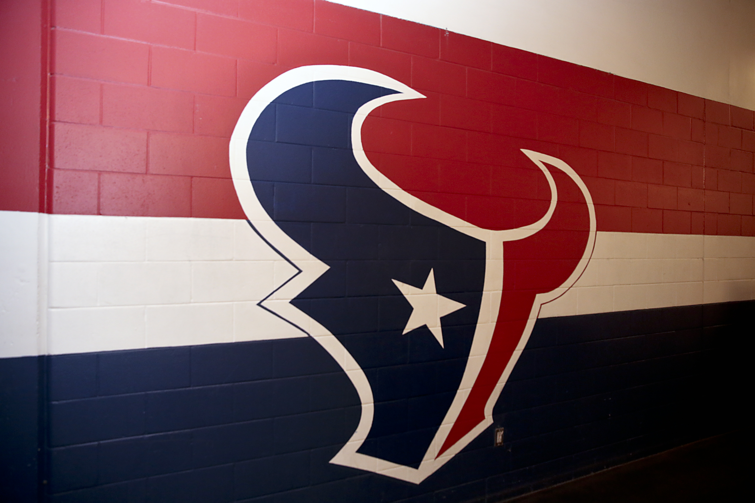 Houston Texans cheerleaders sue NFL team for discrimination - BBC News