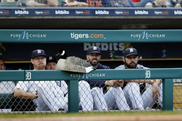 DETROIT, MI - JUNE 1:  The 'rally goose', a goose decoy, sits on the fence in front of John Hicks #55 of the Detroit Tigers, Mike Fiers #50 of the Detroit Tigers and Michael Fulmer #32 of the Detroit Tigers during the first inning of a game against the Toronto Blue Jays at Comerica Park on June 1, 2018 in Detroit, Michigan. (Photo by Duane Burleson/Getty Images)