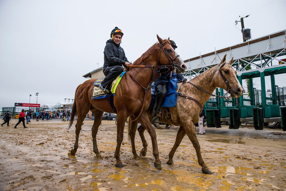 Belmont stakes betting strategy