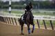 ELMONT, NY - JUNE 07: Restoring Hope with Humberto Gomez aboard gallops in preparation for the 150th Belmont Stakes at Belmont Park on June 07, 2018 in Elmont, New York. (Photo by Alex Evers/Eclipse Sportswire/Getty Images)