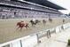 ELMONT, NY - JUNE 09: Justify #1, ridden by jockey Mike Smith crosses the finish line to win the 150th running of the Belmont Stakes at Belmont Park on June 9, 2018 in Elmont, New York. Justify becomes the thirteenth Triple Crown winner and the first since American Pharoah in 2015. (Photo by Al Bello/Getty Images)
