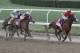 Justify, right, ridden by Mike Smith, leads the field around the far turn during the Belmont Stakes horse race, Saturday, June 9, 2018, at Belmont Park in Elmont, N.Y. Justify won the race, to claim horse racing's Triple Crown (AP Photo/Mary Altaffer)