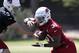 Arizona Cardinals' Sam Bradford (9) hands off to David Johnson (31) during an organized team activity Tuesday, May 15, 2018, in Tempe, Ariz. (AP Photo/Matt York)