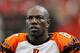 ATLANTA - OCTOBER 24: Terrell Owens #81 of the Cincinnati Bengals against the Atlanta Falcons at Georgia Dome on October 24, 2010 in Atlanta, Georgia. (Photo by Kevin C. Cox/Getty Images)