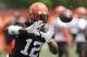 Cleveland Browns wide receiver Josh Gordon catches a pass during practice at the NFL football team's training camp facility, Wednesday, June 13, 2018, in Berea, Ohio. (AP Photo/Tony Dejak)