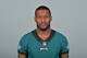 This is a 2018 photo of Mike Wallace of the Philadelphia Eagles NFL football team. This image reflects the active roster as of Monday, June 11, 2018 when this image was taken. (AP Photo)