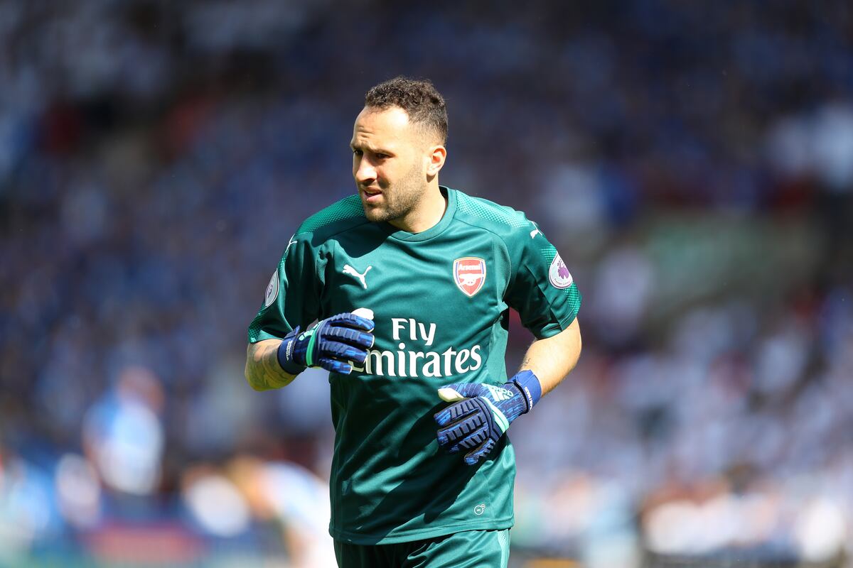 Arsenal Transfer News: Gunners Reportedly Agree to David ...