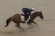 BALTIMORE, MD - MAY 17: Good Magic gallops over a sloppy track at Pimlico Racecourse on May 17, 2018 in Baltimore, Maryland. (Photo by Alex Evers/Eclipse Sportswire/Getty Images)