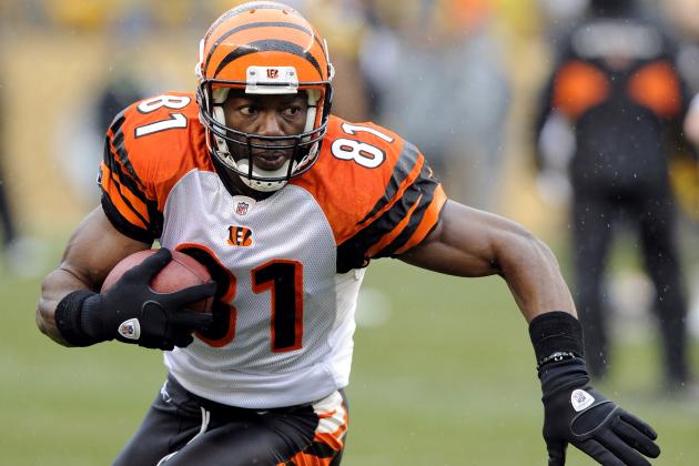 FILE - In this Sunday, Dec. 12, 2010 file photo, Cincinnati Bengals wide receiver Terrell Owens (81) warms up during pre game of an NFL football game against the Pittsburgh Steelers in Pittsburgh. Owens has been nominated for the Pro Football Hall of Fame class of 2016, Wednesday, Sept. 16, 2015. (AP Photo/Don Wright, File)
