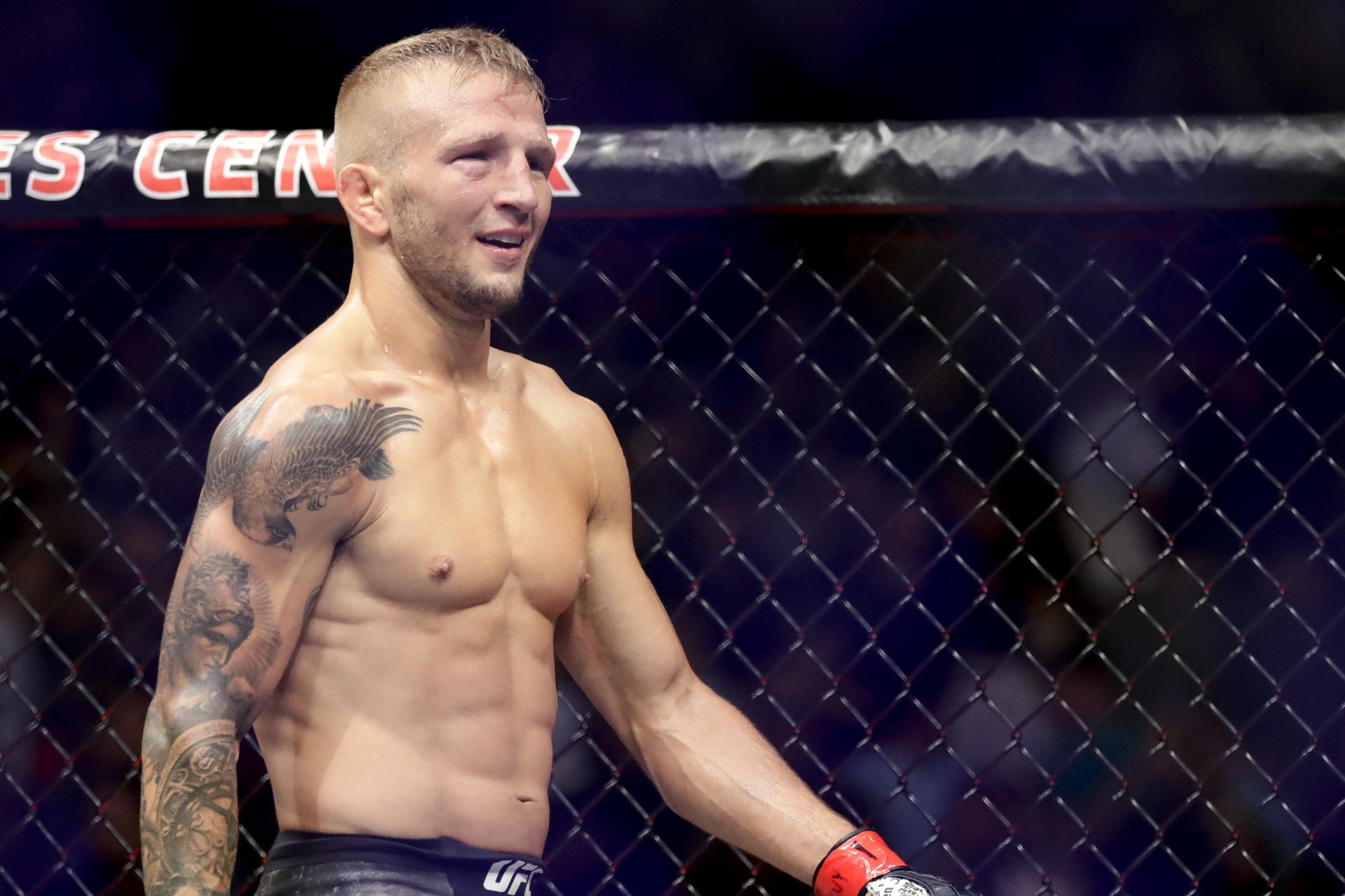 TJ Dillashaw Cements Greatness in Dispatching the UFC's Hand-Picked Contender | Bleacher Report | Latest News, Videos and Highlights