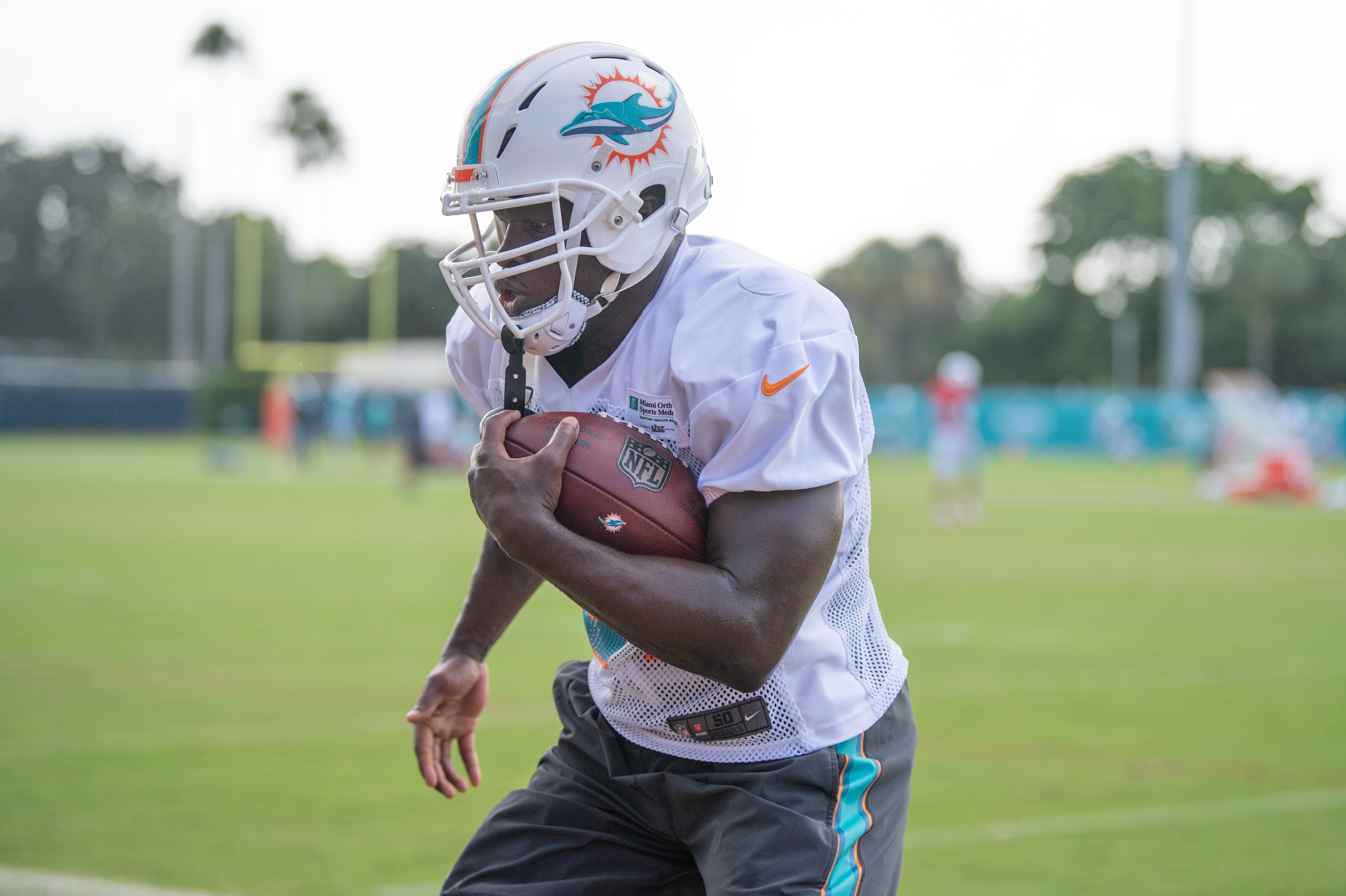 Miami Dolphins RB Frank Gore becomes fourth leading rusher in NFL history 