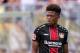 Leon Bailey of Bayer 04 Leverkusen during the Pre-season Friendly match between Fortuna Sittard and Bayer Leverkusen at the Fortuna Sittard Stadium on July 28, 2018 in Sittard, The Netherlands(Photo by VI Images via Getty Images)