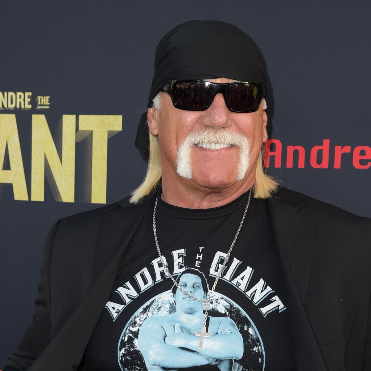Hulk Hogan Says nWo Would 'Murder' The Shield | News, Scores ...