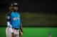 Pictured: should-be major leaguer Vladimir Guerrero Jr.