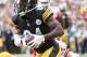 Pittsburgh Steelers wide receiver Antonio Brown (84) plays against the Kansas City Chiefs in an NFL football game Sunday, Sept. 16, 2018, in Pittsburgh. (AP Photo/Don Wright)