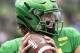 FILE - In this Saturday, Sept. 8, 2018, file photo, Oregon quarterback Justin Herbert went 20-of-26 with 250 yards, four touchdowns and no picks in their 62-14 win against Portland State during an NCAA college football game in Eugene, Ore. On the latest AP Top 25 College Football Podcast, guest Chantel Jennings previews the Pac-12’s big game and gives the back story on Ducks star quarterback Justin Herbert.(AP Photo/Thomas Boyd)
