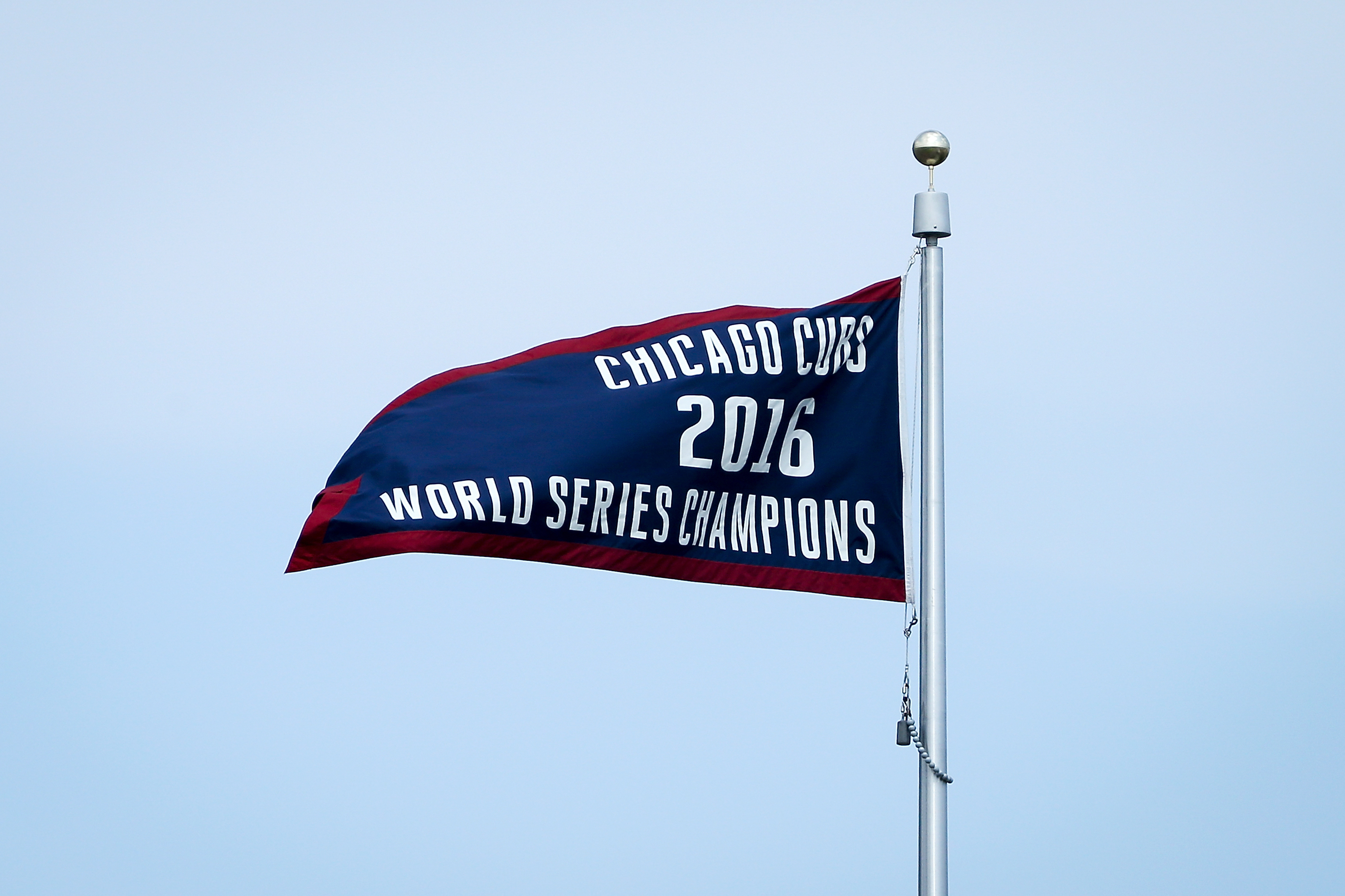 Chicago Cubs World Series Champion Vertical Banner