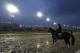 An exercise rider rides Divisidero during morning workouts before the Breeders Cup horse races at Churchill Downs, Thursday, Nov. 1, 2018, in Louisville, Ky. (AP Photo/Darron Cummings)