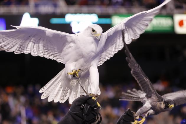 Air Force falcon mascots spread their wings during the first half of an NCAA college football game against Boise State in Boise, Idaho, on Friday, Nov. 20, 2015. Air Force won 37-30. (AP Photo/Otto Kitsinger)