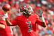 TAMPA, FLORIDA - DECEMBER 02: Jameis Winston #3 of the Tampa Bay Buccaneers drops back to throw a pass in the second half of a game against the Carolina Panthers at Raymond James Stadium on December 02, 2018 in Tampa, Florida. (Photo by Will Vragovic/Getty Images)