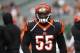 Cincinnati Bengals outside linebacker Vontaze Burfict walks the field during practice before an NFL football game against the Cleveland Browns, Sunday, Nov. 25, 2018, in Cincinnati. (AP Photo/Frank Victores)