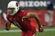 Arizona Cardinals wide receiver Larry Fitzgerald (11) during the first half of an NFL football game against the Los Angeles Rams, Sunday, Dec. 23, 2018, in Glendale, Ariz. (AP Photo/Rick Scuteri)