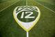 ADVANCE FOR SATURDAY, OCT. 1 - In this Oct. 10, 2015, file photo, a PAC-12 logo is seen painted on the field before an NCAA college football game between Washington State and Oregon in Eugene, Ore. Larry Scott helped transform and modernize the Pac-12 when he took over as commissioner, helped the conference land a $3 billion TV deal and create its own network. Eight years later, the conference is reaping financial rewards and he believes it is well-positioned to adapt to the changing landscape of both college sports and media rights. (AP Photo/Ryan Kang, File)