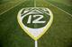 ADVANCE FOR SATURDAY, OCT. 1 - In this Oct. 10, 2015, file photo, a PAC-12 logo is seen painted on the field before an NCAA college football game between Washington State and Oregon in Eugene, Ore. Larry Scott helped transform and modernize the Pac-12 when he took over as commissioner, helped the conference land a $3 billion TV deal and create its own network. Eight years later, the conference is reaping financial rewards and he believes it is well-positioned to adapt to the changing landscape of both college sports and media rights. (AP Photo/Ryan Kang, File)