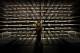 The Championship trophy is seen before a news conference for the NCAA college football playoff championship game between Alabama and Clemson Sunday, Jan. 6, 2019, in Santa Clara, Calif. (AP Photo/Chris Carlson)