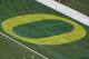 The Oregon logo is seen during the first half of the Alamo Bowl NCAA college football game against TCU, Saturday, Jan. 2, 2016, in San Antonio. (AP Photo/Austin Gay)