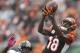 Cincinnati Bengals wide receiver A.J. Green (18) catches a pass against Pittsburgh Steelers linebacker Vince Williams (98) in the first half of an NFL football game, Sunday, Oct. 14, 2018, in Cincinnati. (AP Photo/Gary Landers)