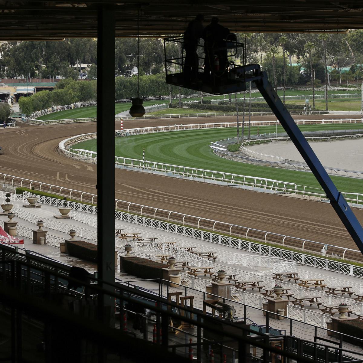 Arms Runner Becomes 23rd Horse to Die Since Dec 26 at Santa Anita Race
