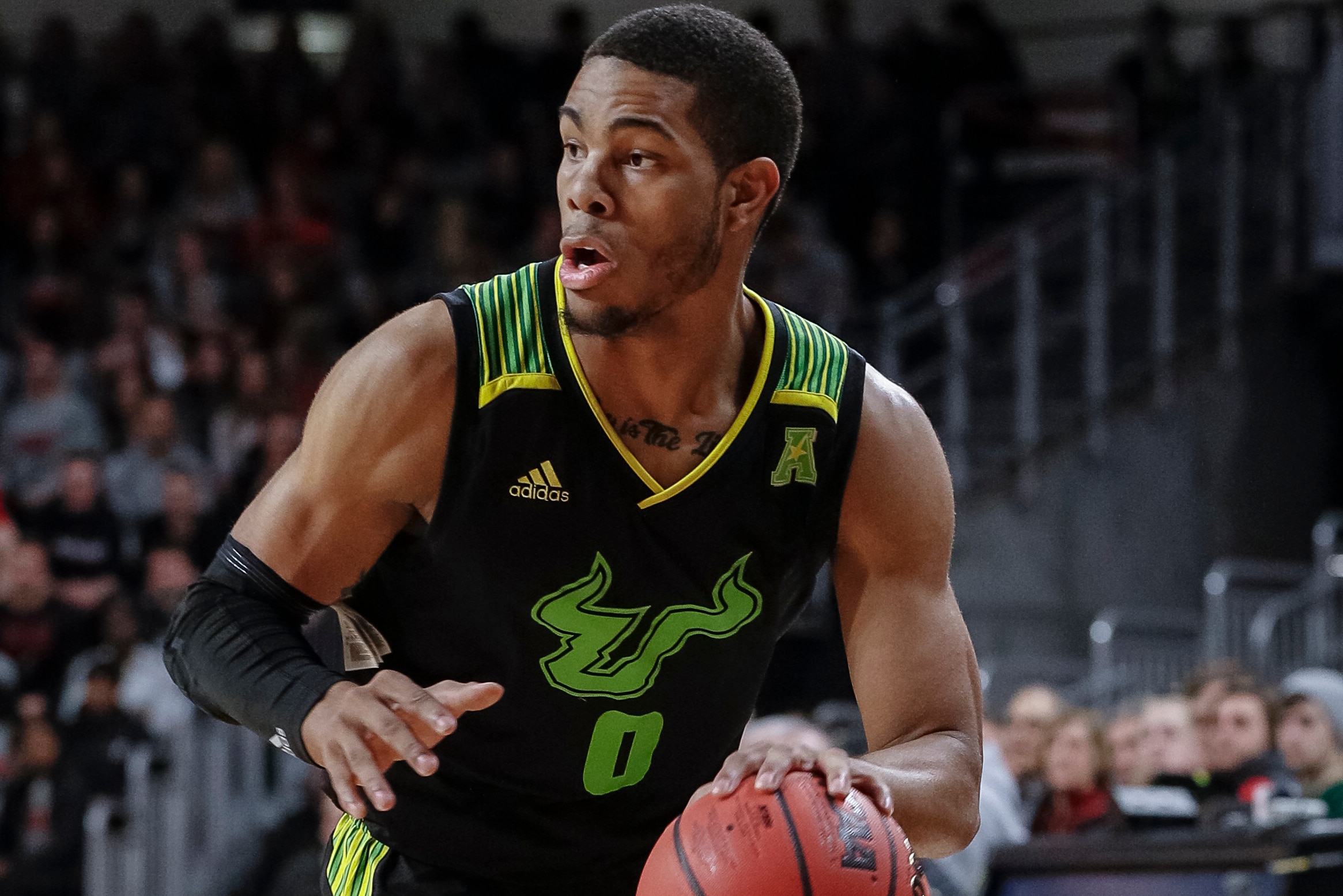 usf basketball jersey